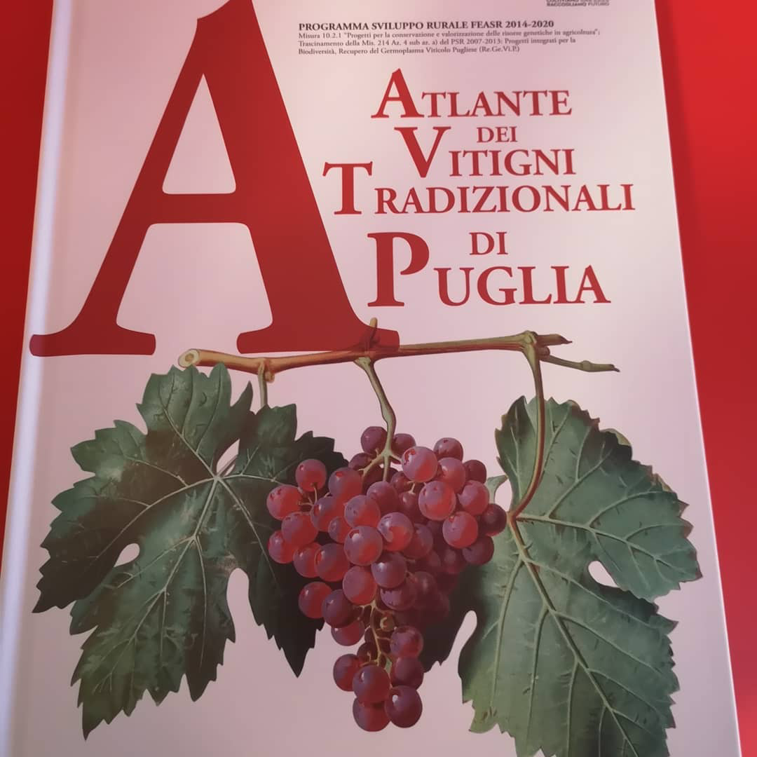 giornata internazionale olio e vino