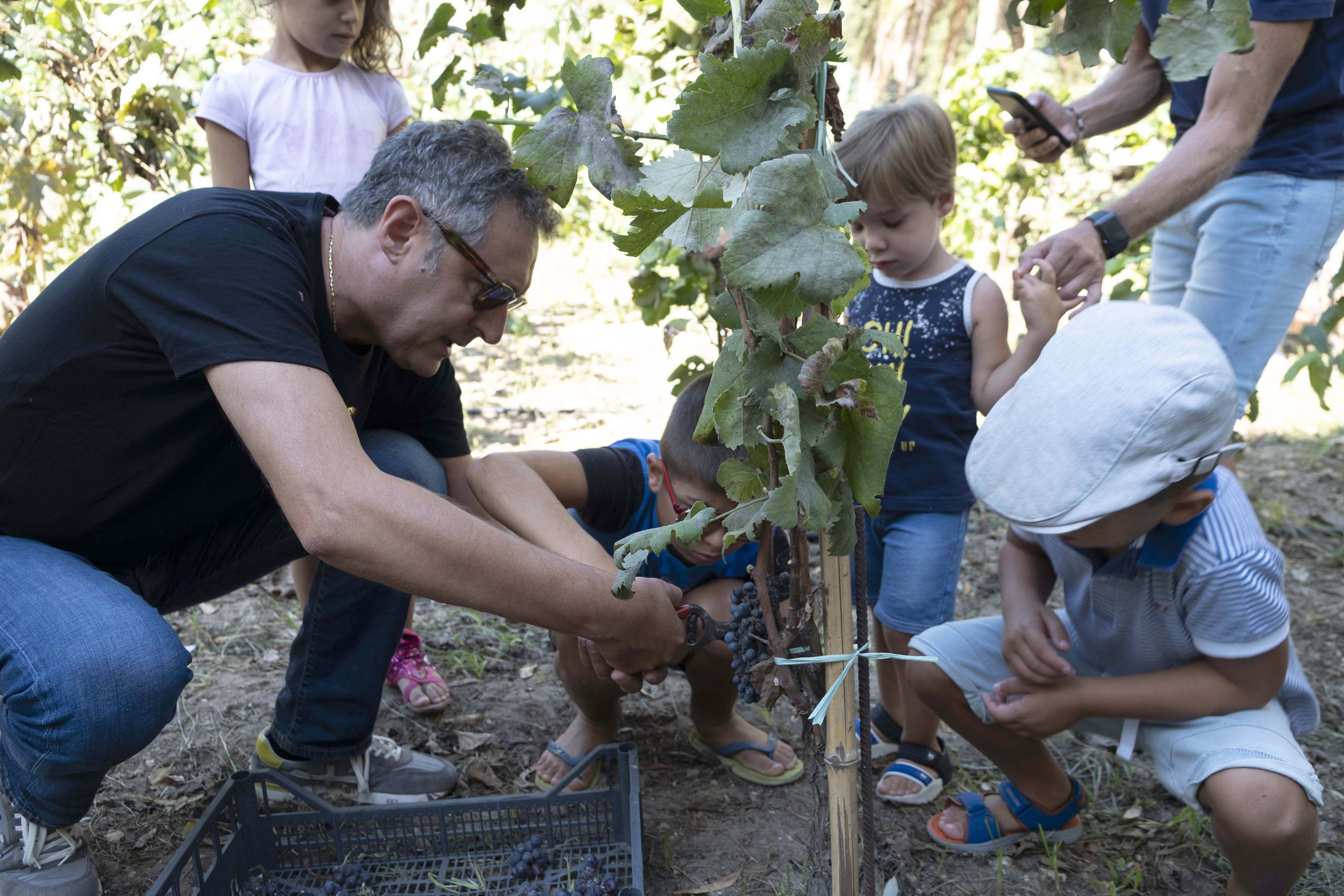 Vendemmia e capucanale con i bambini ciechi.