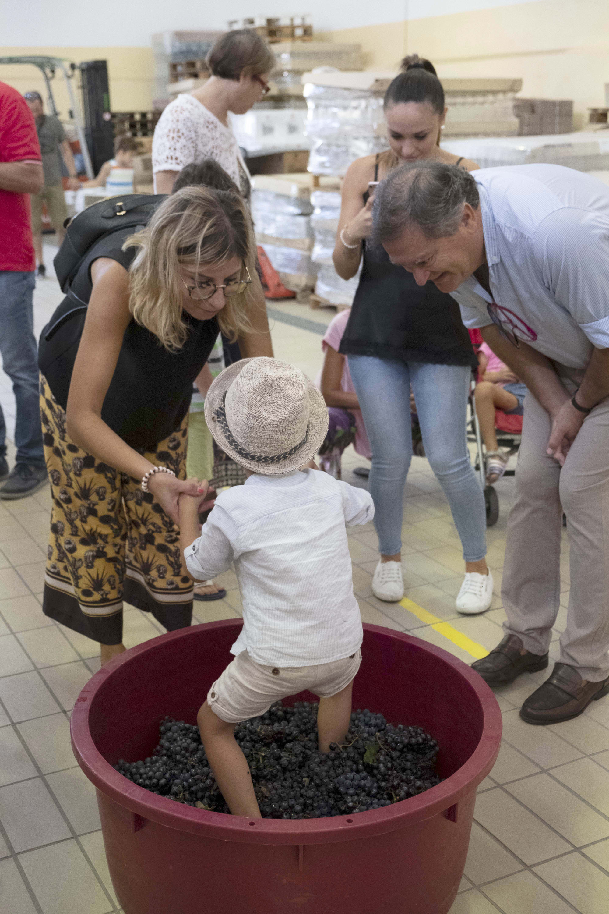 Vendemmia e capucanale con i bambini ciechi.