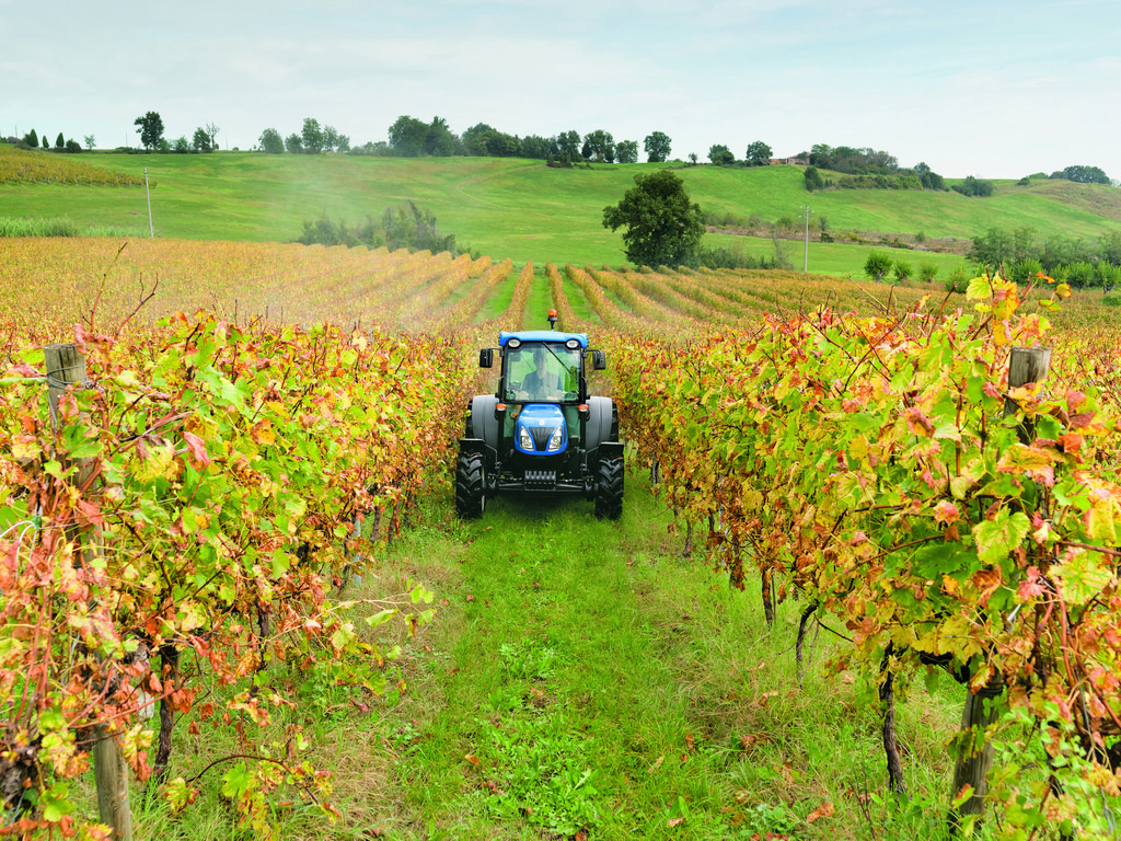 impresa agricola puglia