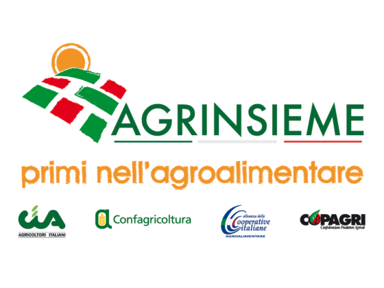 Agrinsieme logo