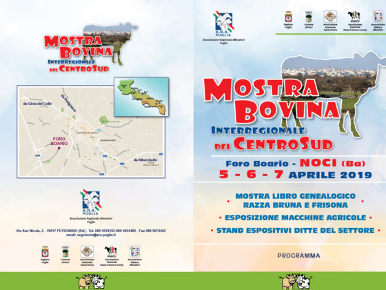 locandina mostra bovina noci