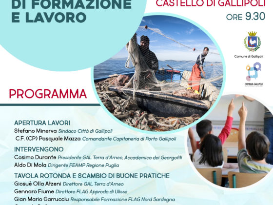 workshop gallipoli
