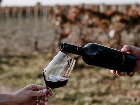 primitivo di manduria