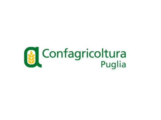 danni campagne puglia