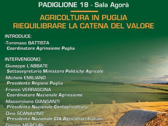 NUOVA LOCANDINA CORRETTA CONVEGNO AGRINSIEME IN FIERA