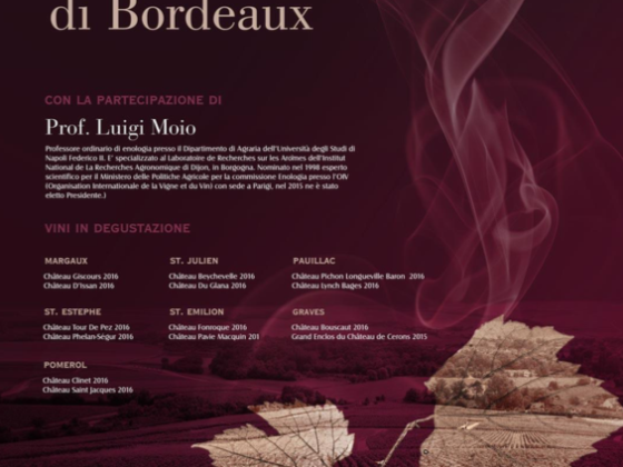 locandina evento vino bordeaux
