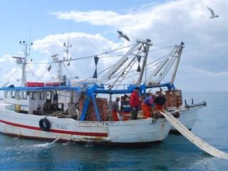 reparto ittico puglia