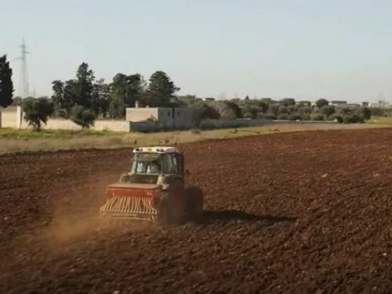 Trattore semi di vita