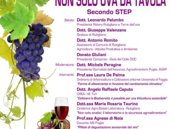 Non solo uva da tavola