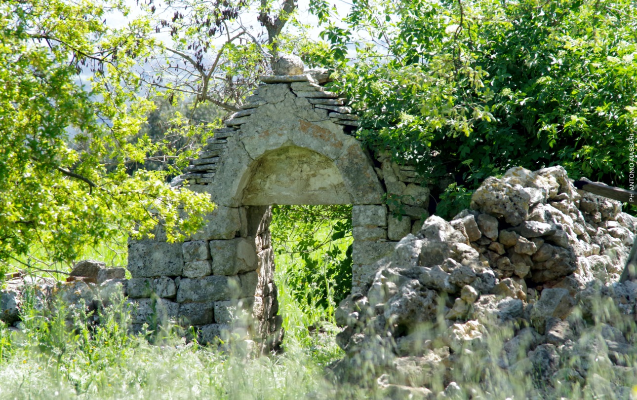 immagine-parco