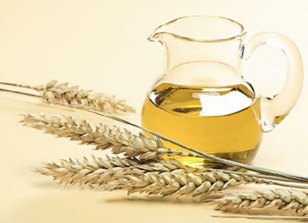 olio-di-germe-di-grano-proprieta-a-cosa-serve