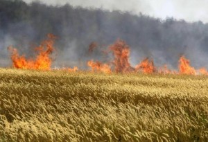 granoincendio
