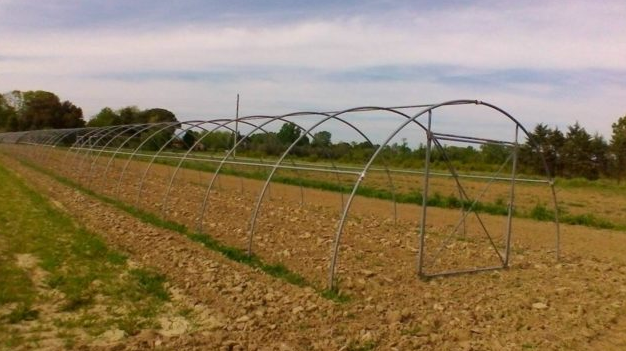 schermata-2017-03-14-alle-12-16-15