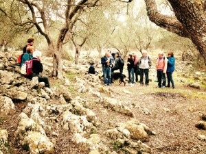 trekking
