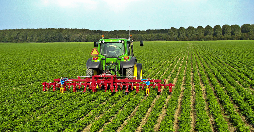 imprese agricole pugliesi